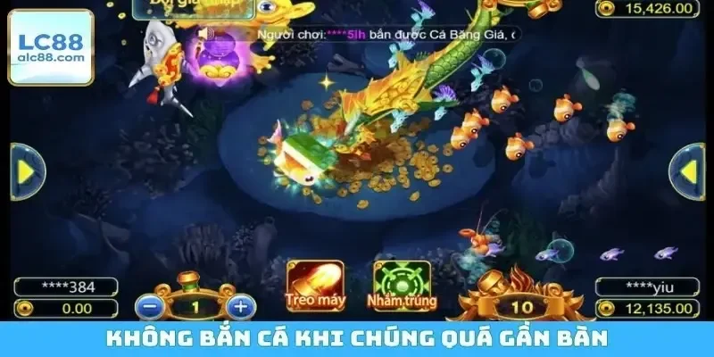 Không bắn cá khi chúng quá gần bàn